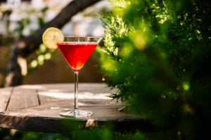 side-view-cosmopolitan-cocktail-with-liquor-slice-lemon
